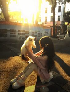 #HD 134 Ngày Tôi Nhặt Một Con Mèo Biết Nói